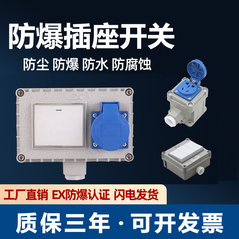 防爆墙壁开关防爆插座五孔220V10A明装86型单开工业照明开关插座