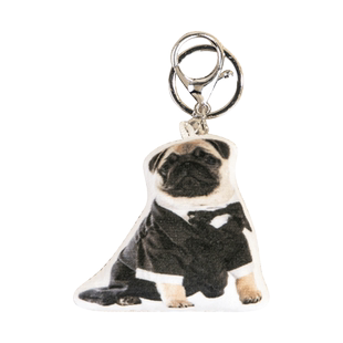 diy来图定制猫咪宠物公仔钥匙扣狗照片定做书包玩偶挂件手机挂链