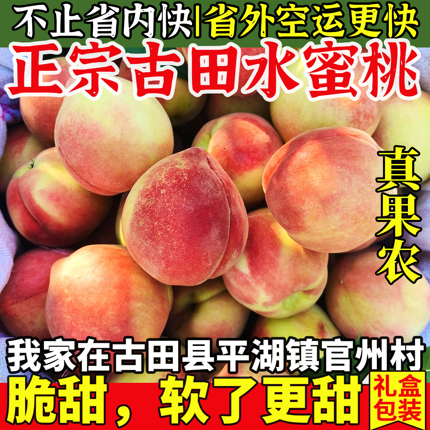 古田白凤水蜜桃正宗新鲜甜脆桃水果大桃子福建宁德官州直发礼盒装
