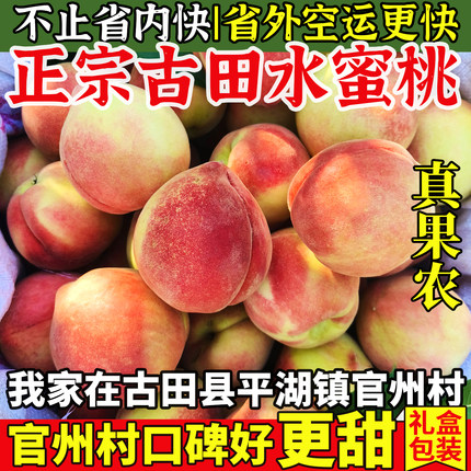 古田白蜜水蜜桃正宗新鲜甜脆桃水果大桃子福建宁德官州直发非白凤