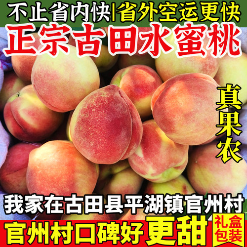 脆甜正宗古田水蜜桃！官州村直发