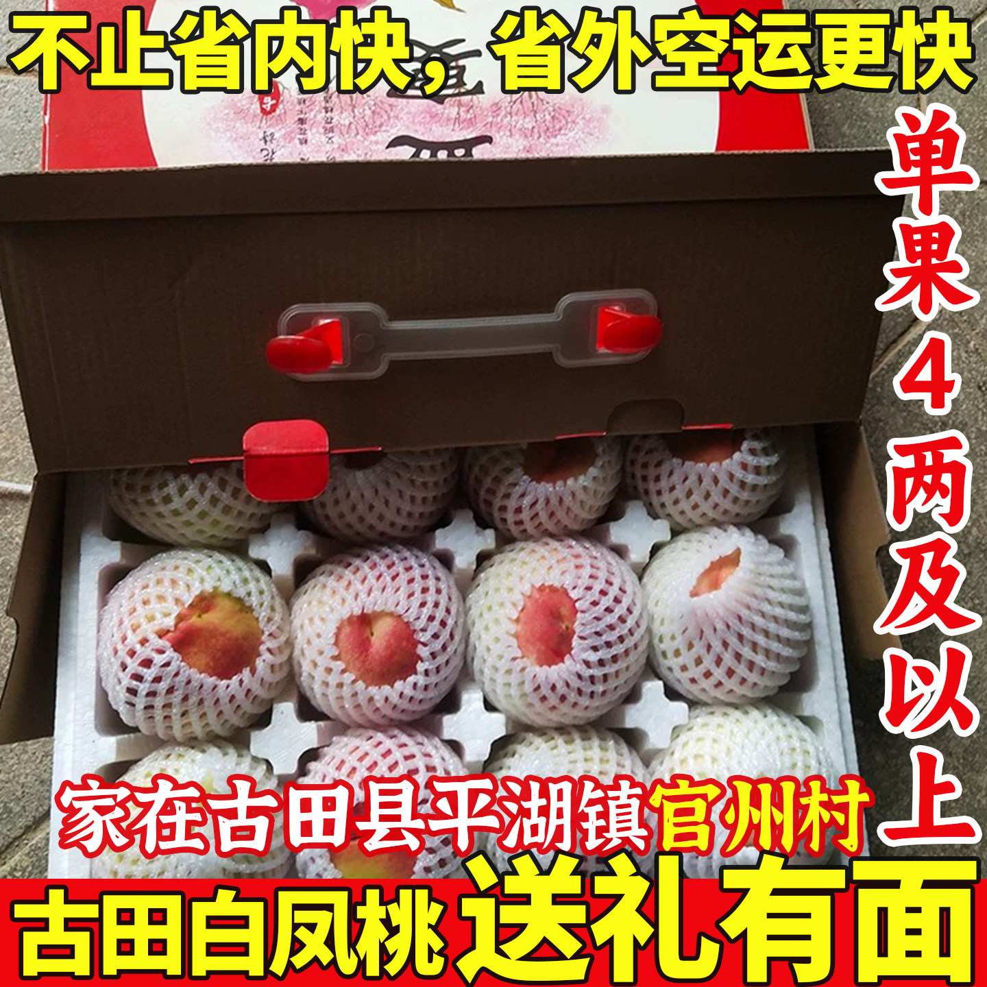 正宗古田水蜜桃白蜜甜脆官州现摘现发新鲜特产大桃子礼盒装