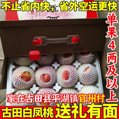 果王送礼！正宗古田水蜜桃！