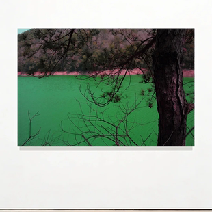 当代艺术《湖》摄影装饰画小众软装挂画展厅客厅沙发背景艺术壁画