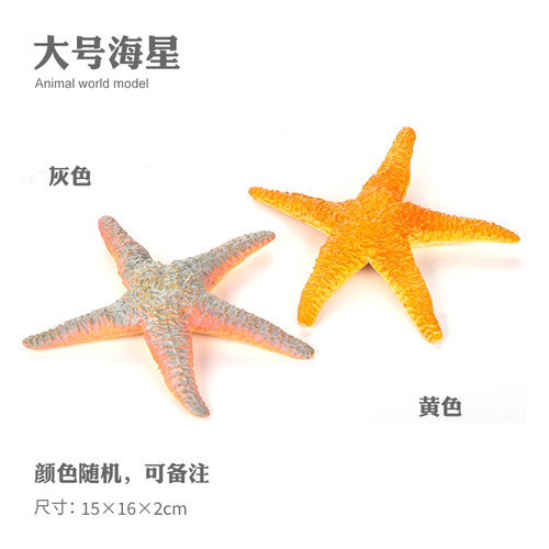 儿童仿真海洋海底动物玩具摆件模型海星海盘车贝壳珊瑚礼物3-6岁