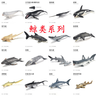 儿童仿真动物玩具模型座头鲸