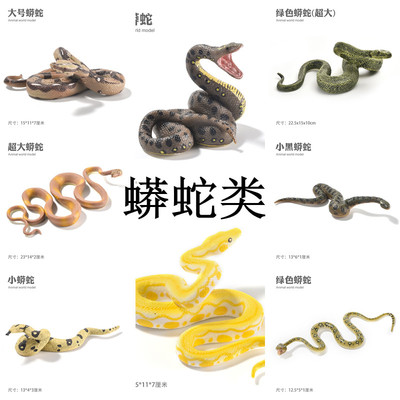 整蛊眼镜蛇响尾蛇蟒蛇