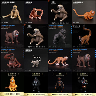 儿童仿真动物玩具模型猩猩猴子黑猩猩长臂猿猴猕猴金丝猴狒狒山魈