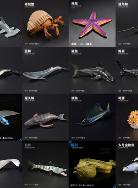 儿童仿真海洋动物玩具模型蓝鲸白鲸虎鲸鲨鱼锤头鲨企鹅海狮螃蟹