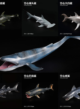 儿童仿真空心海洋海底动物玩具模型蓝鲸虎鲨巨齿鲨锤头鲨大白鲨