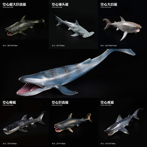 空心海洋海底动物玩具模型巨齿鲨