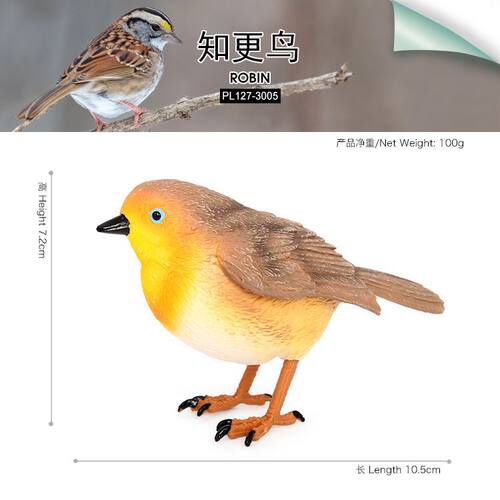 鸟鹦鹉老鹰孔雀山雀知更鸟