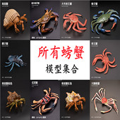 儿童仿真动物玩具模型螃蟹梭子蟹帝王蟹蜘蛛蟹面包蟹寄居蟹大闸蟹