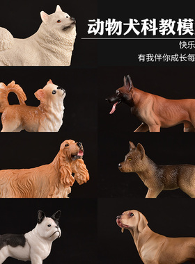 儿童仿真狗狗动物玩具模型泰迪萨摩耶可卡犬狼狗牧羊犬藏獒沙皮狗