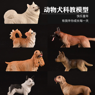 儿童仿真狗狗动物玩具模型泰迪萨摩耶可卡犬狼狗牧羊犬藏獒沙皮狗