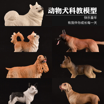 泰迪萨摩耶可卡犬狼狗牧羊犬猎犬