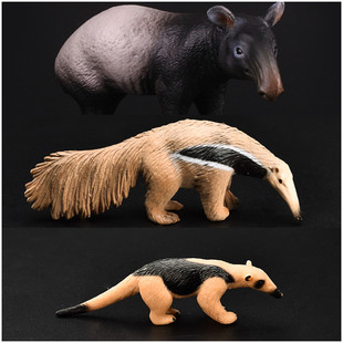 儿童仿真野生动物玩具模型爬行两栖动物貘食蚁兽大小侏食蚁兽土豚