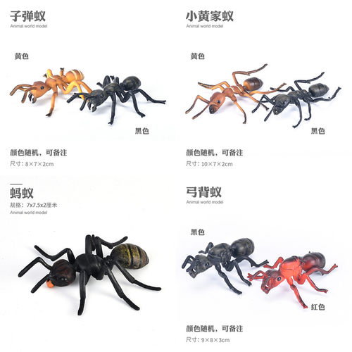 儿童仿真野生动物玩具模型蚂蚁子弹蚁红蚂蚁黑蚂蚁弓背蚁小黄家蚁