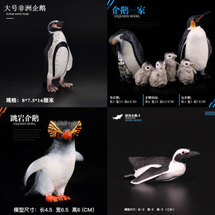 儿童仿真海洋动物玩具认知模型企鹅帝王企鹅被背仔企鹅礼物3-6岁