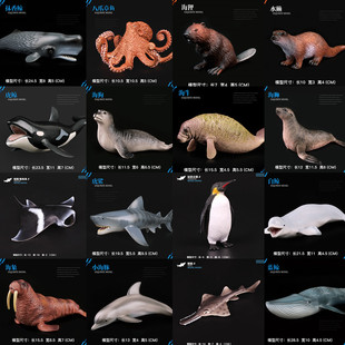儿童仿真海洋动物玩具模型系列二海豚虎鲸虎鲨魔鬼鱼海狮海象海龟
