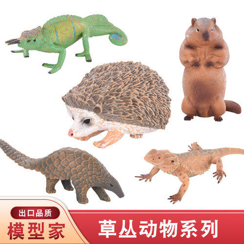仿真野生动物园变色龙刺猬蜥蜴
