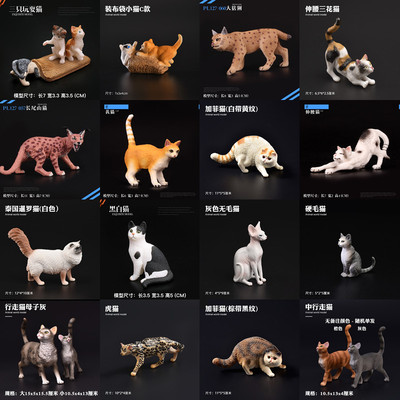 儿童礼物波斯猫短毛猫田园猫