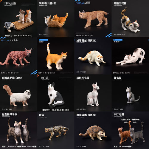 儿童礼物波斯猫短毛猫田园猫