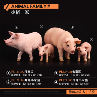 儿童仿真家禽动物模型玩具套装 6岁 野生动物园家猪野猪豪猪礼物3