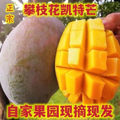 攀枝花凯特芒凯特芒果整箱