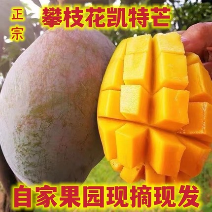 四川攀枝花凯特芒果新鲜大芒果当季水果整箱应季芒果包邮