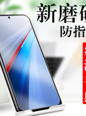 iqoo13/v2408a磨砂钢化膜