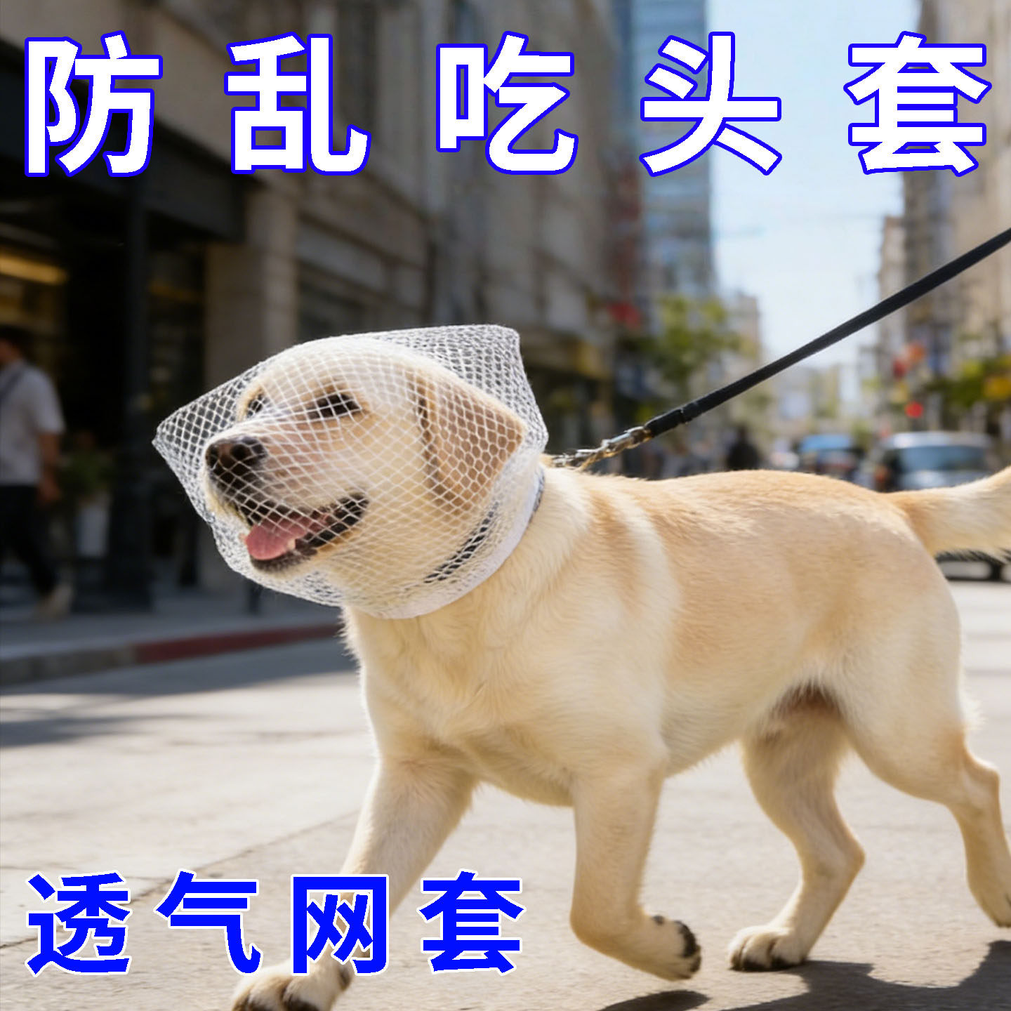狗狗防乱吃头套防误食嘴套透气户外防偷吃头纱猫咪面罩宠物口罩
