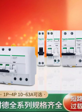 施耐德A9空气开关IC65N 2PC63A家用总闸带漏电保护器1P+N漏保空开