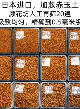 日本进口加藤赤玉土 精筛20遍精确到0.5mm 多肉颗粒 铺面石顾花坊