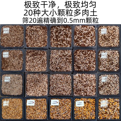 多肉植物精植颗粒品氏泥炭包邮