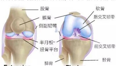 马明仁祖传密方粉包 腰疼。膝盖难受。受凉。寒气入体