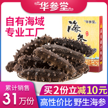 华参堂深海野生淡干海参干货50g特价包邮非500g鲜活大连即食礼盒