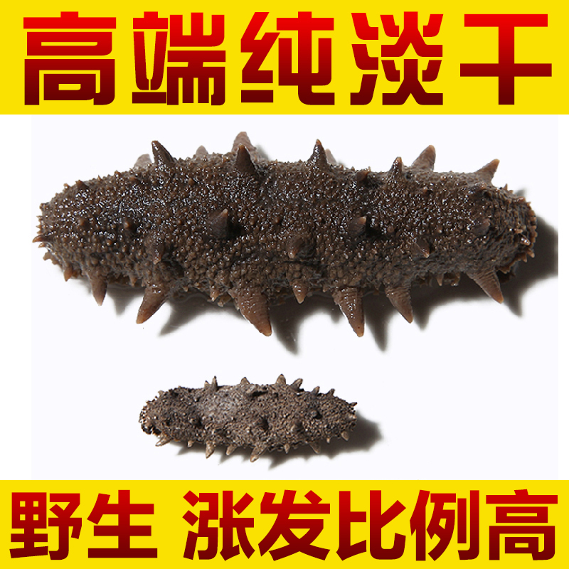 華參堂官品系列 海參 淡干海參 深海野生刺參遼參 50g 品質更優