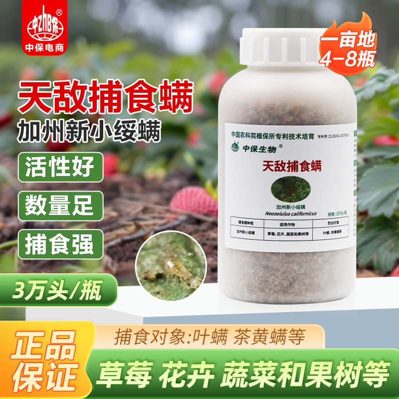 捕食螨 加州新小绥螨草莓蔬菜大棚月季生态种植红蜘蛛白蜘蛛天敌