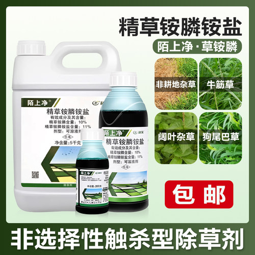 利尔陌上净11%精草铵膦铵盐草铵膦柑橘果园荒地牛筋草杂草除草剂