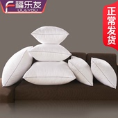 抱枕芯沙发靠垫靠枕芯40 45 50 55 60 65 70抱枕枕芯正长方形枕芯