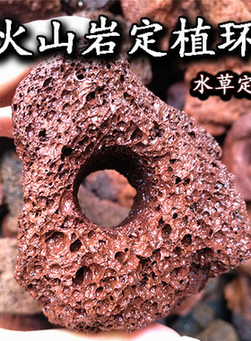 天然红色火山石水草定植环水草底座鱼缸水草固定种植神器无土栽培