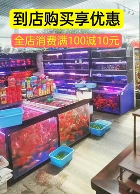 实体店地址，玉泉营桥南（花乡花卉创意园东区19号