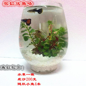 小玻璃迷你鱼缸圆形鱼缸造景套餐乌龟缸水族箱小型客厅办公桌装饰