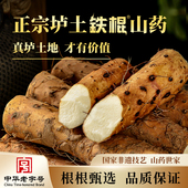 怀山堂正宗垆土铁棍山药河南焦作温县有机新鲜怀山药铁杆淮山粉糯