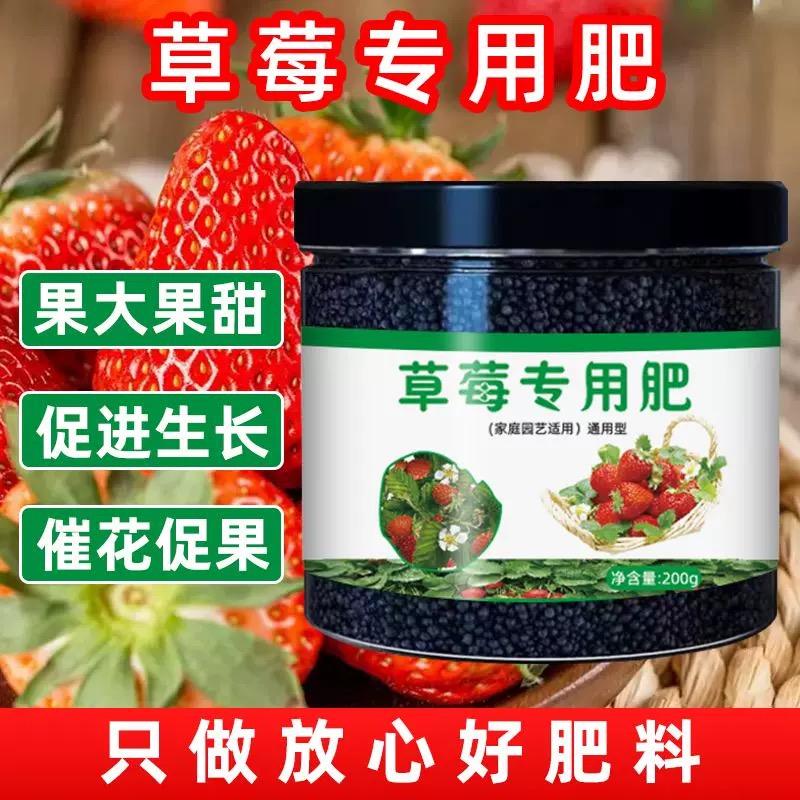 延长草莓专用肥增产室内盆栽营养