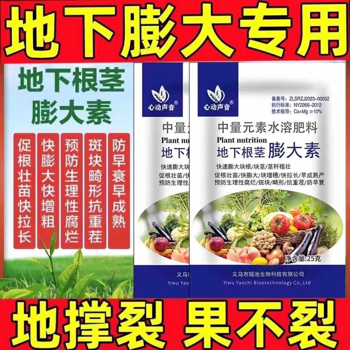 甘薯山药土豆生姜地下根茎彭大素