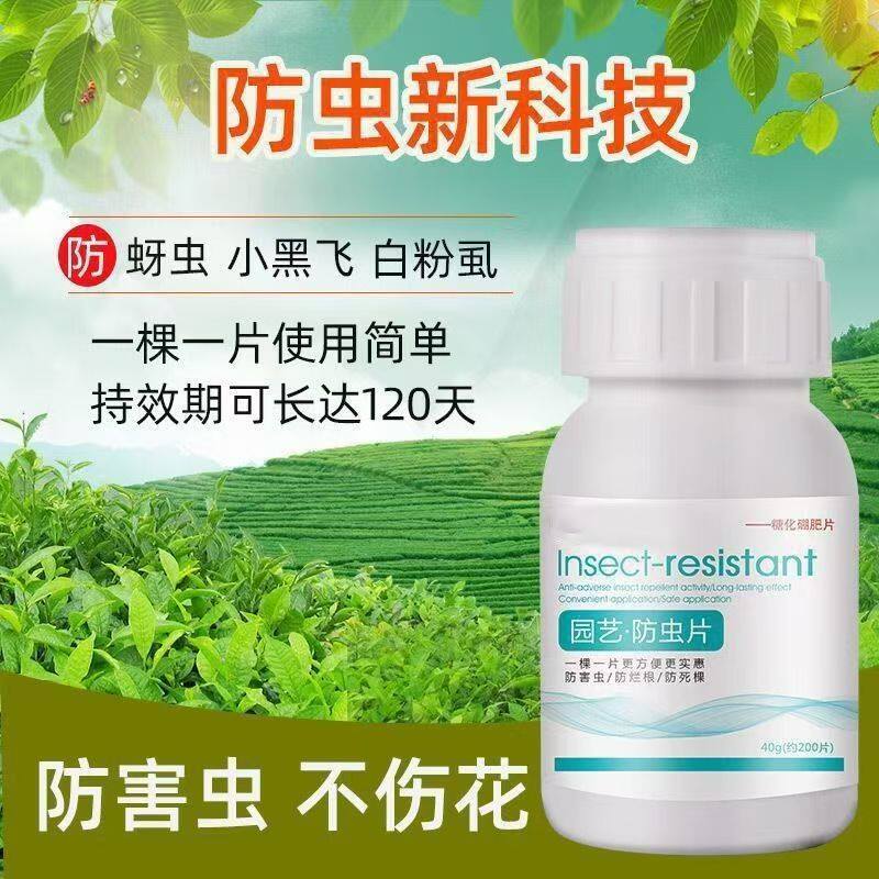 家庭园艺防虫片杀虫剂防小黑飞蚜虫白粉虱小菜蛾飞虫专用花卉绿植