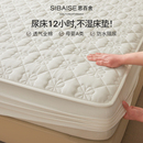 纯棉床笠单件加厚夹棉四季 通用a类高级感防水隔尿全棉床垫保护罩