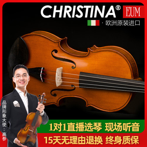 欧洲原装进口尺寸406mm中提琴